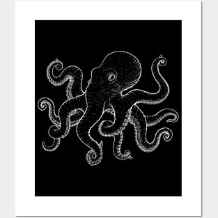 Octopus Posters and Art